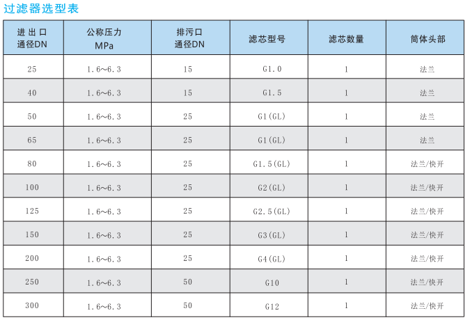 燃?xì)膺^濾器3